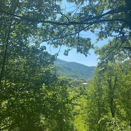 Apartment Ema Bihac