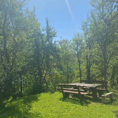 Apartment Ema Bihac